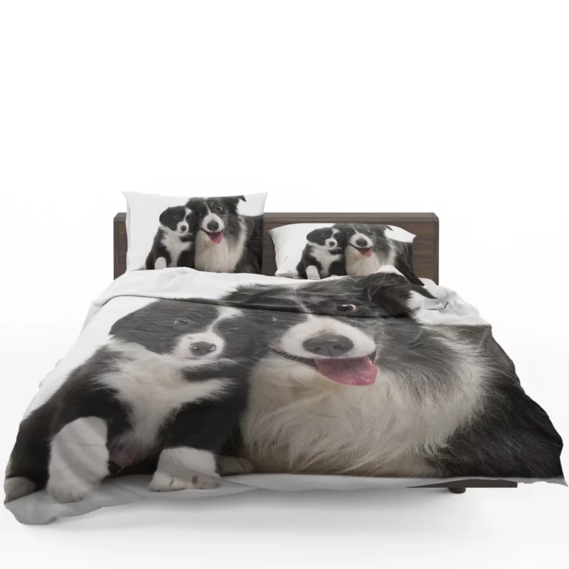 Dynamic Duo Border Collie Pups Bedding Set