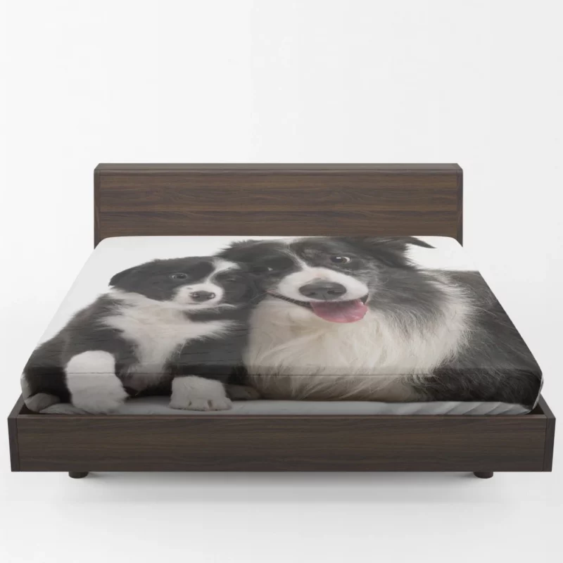 Dynamic Duo Border Collie Pups Fitted Sheet