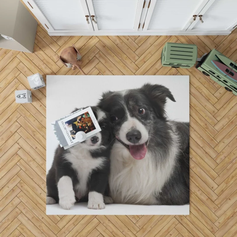 Dynamic Duo Border Collie Pups Rug