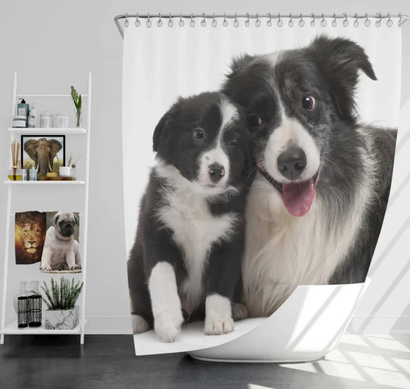 Dynamic Duo Border Collie Pups Shower Curtain