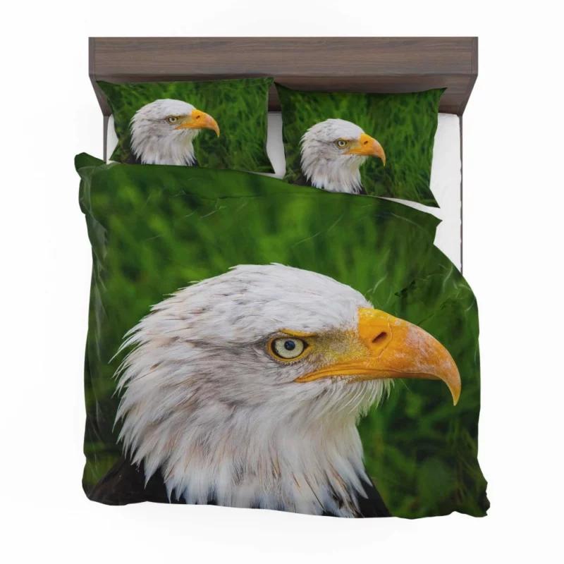 Eagle Close-Up Majesty Gaze of the Wild Bedding Set 1