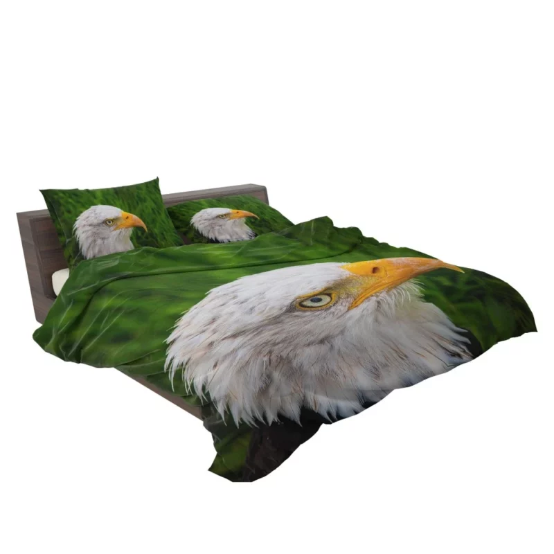 Eagle Close-Up Majesty Gaze of the Wild Bedding Set 2