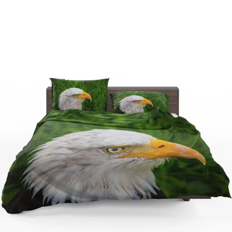 Eagle Close-Up Majesty Gaze of the Wild Bedding Set