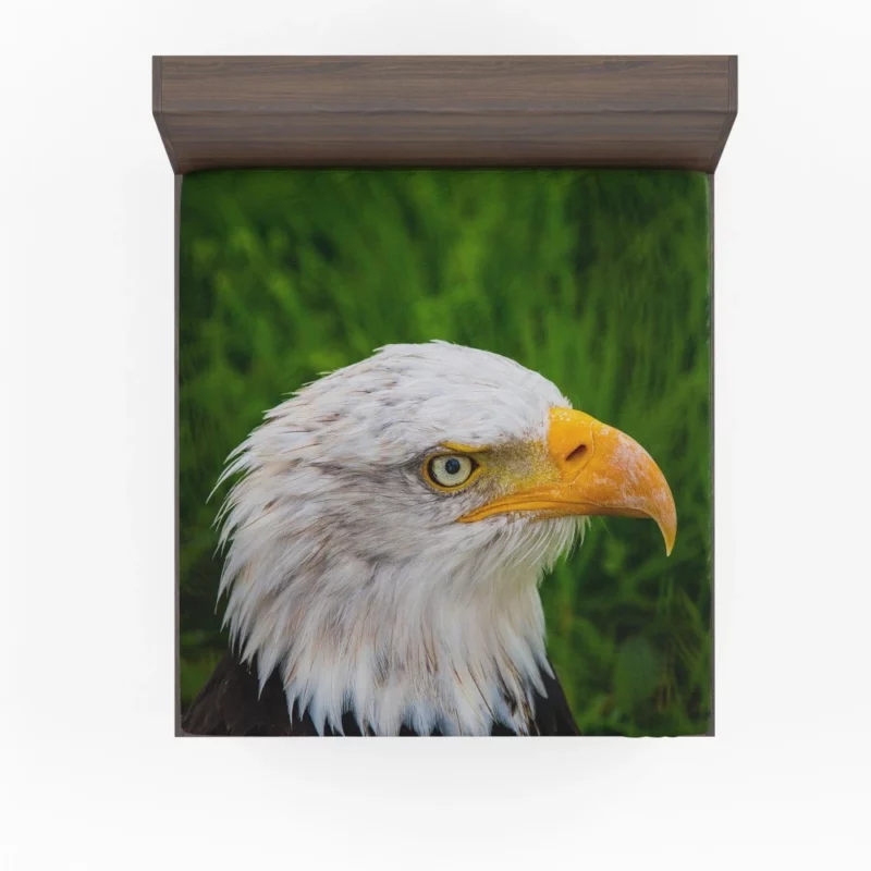 Eagle Close-Up Majesty Gaze of the Wild Fitted Sheet 1