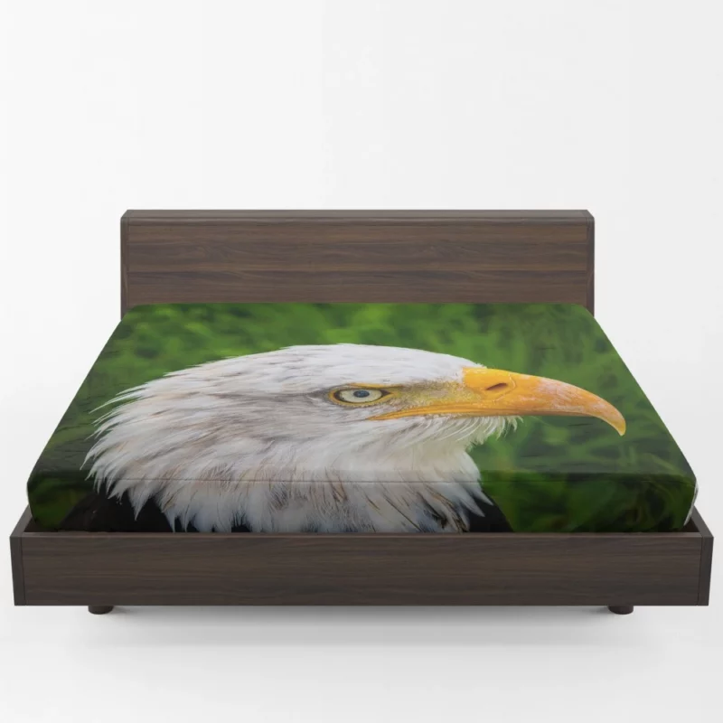 Eagle Close-Up Majesty Gaze of the Wild Fitted Sheet