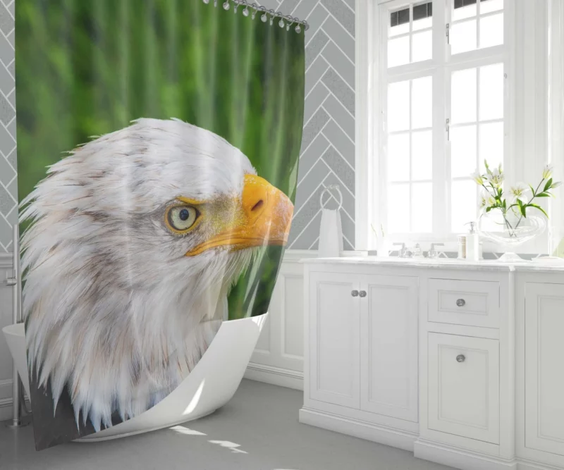 Eagle Close-Up Majesty Gaze of the Wild Shower Curtain 1