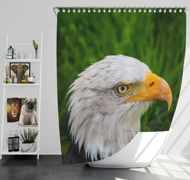 Eagle Close-Up Majesty Gaze of the Wild Shower Curtain