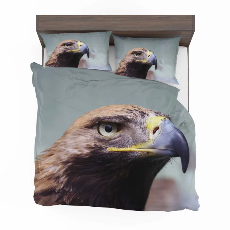 Eagle Fierce Stare Predatory Vigil Bedding Set 1