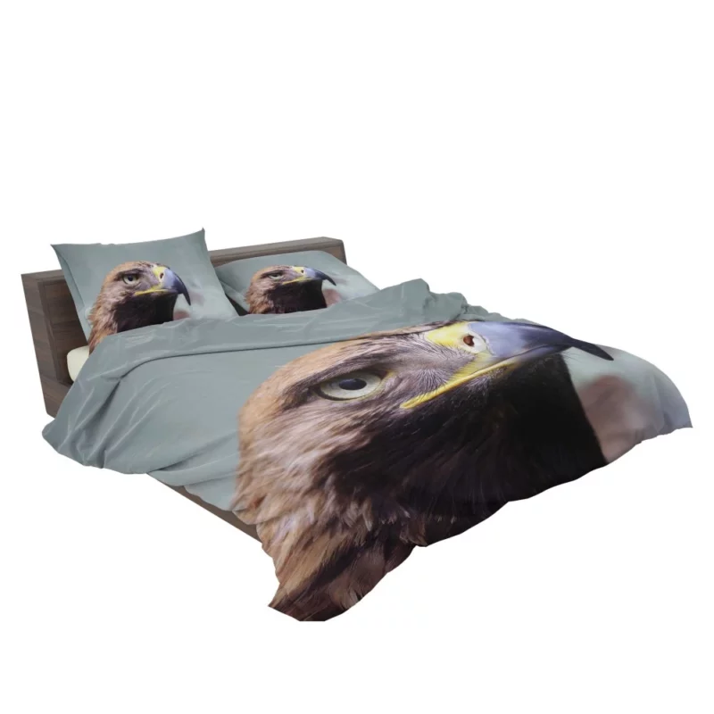 Eagle Fierce Stare Predatory Vigil Bedding Set 2