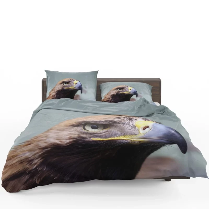 Eagle Fierce Stare Predatory Vigil Bedding Set