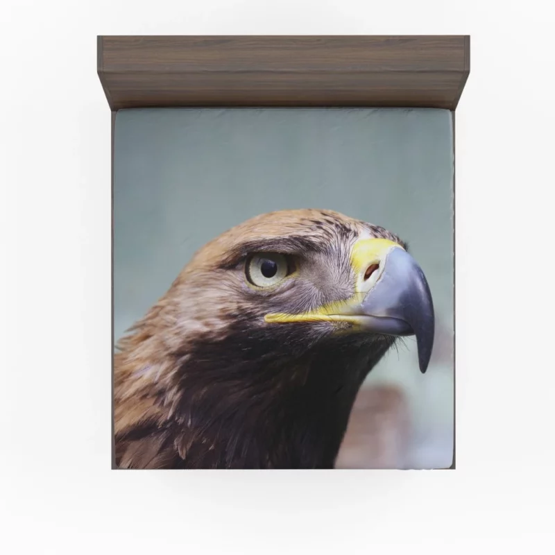 Eagle Fierce Stare Predatory Vigil Fitted Sheet 1