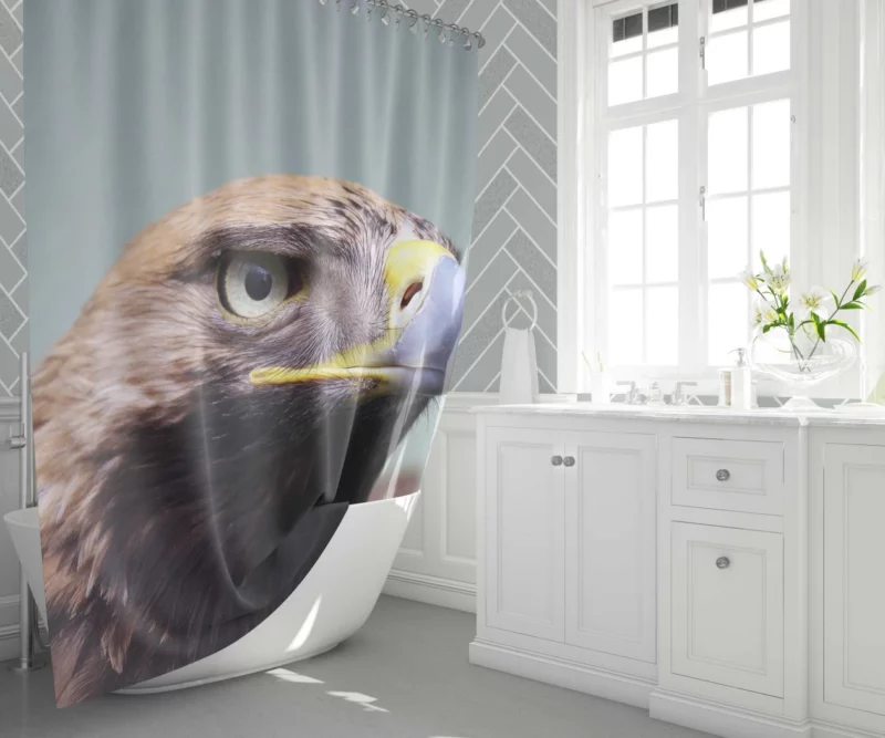 Eagle Fierce Stare Predatory Vigil Shower Curtain 1