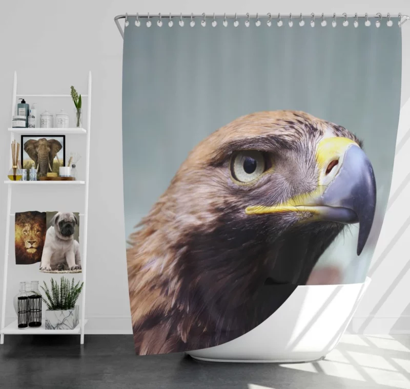 Eagle Fierce Stare Predatory Vigil Shower Curtain