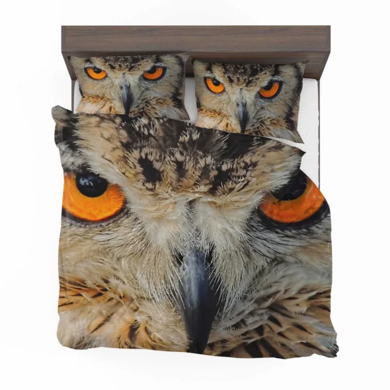 Eagle-Owl Close-Up Majestic Bird Bedding Set 1