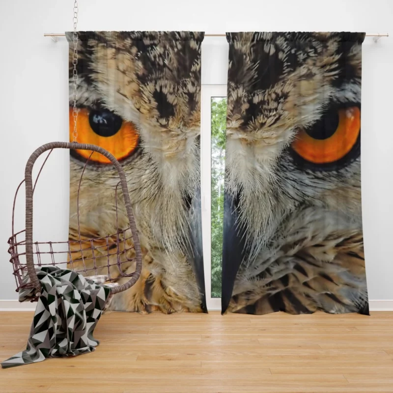 Eagle-Owl Close-Up Majestic Bird Curtain