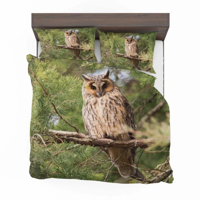 Eagle-Owl Nocturnal Majesty Wise Gaze Bedding Set 1