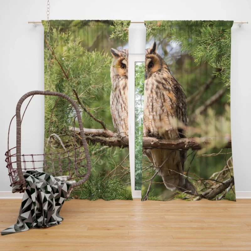 Eagle-Owl Nocturnal Majesty Wise Gaze Curtain