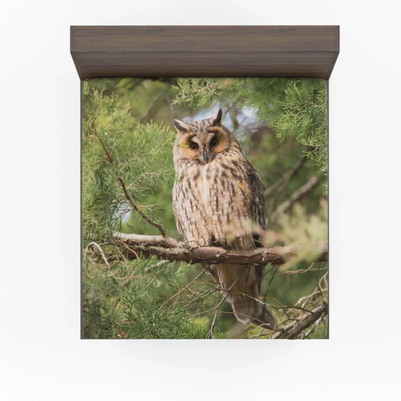 Eagle-Owl Nocturnal Majesty Wise Gaze Fitted Sheet 1