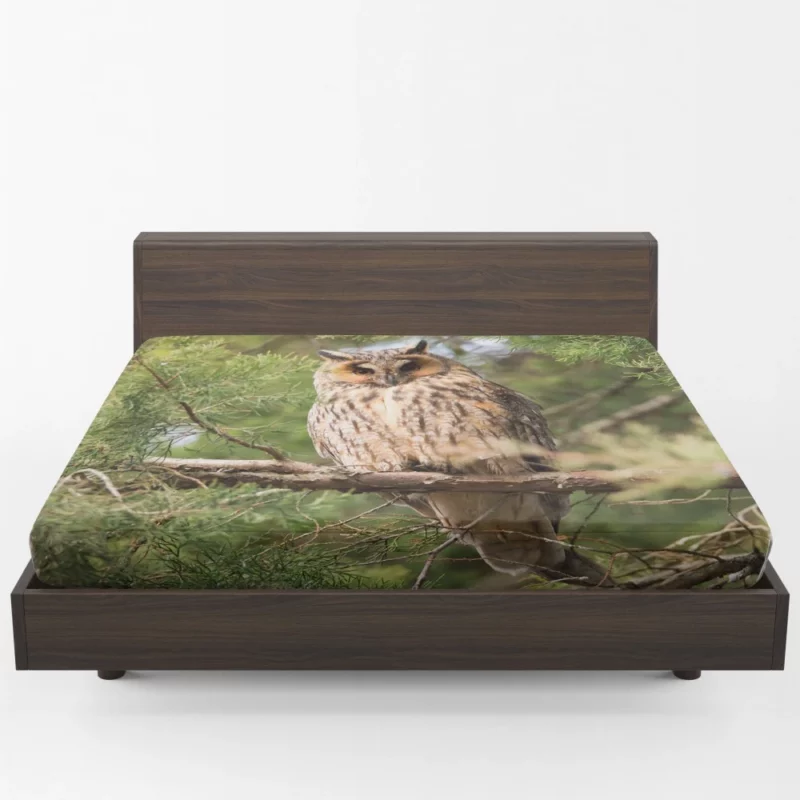 Eagle-Owl Nocturnal Majesty Wise Gaze Fitted Sheet