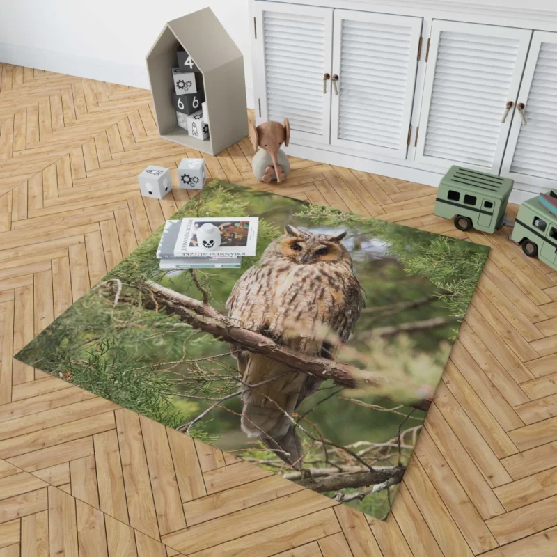 Eagle-Owl Nocturnal Majesty Wise Gaze Rug 1