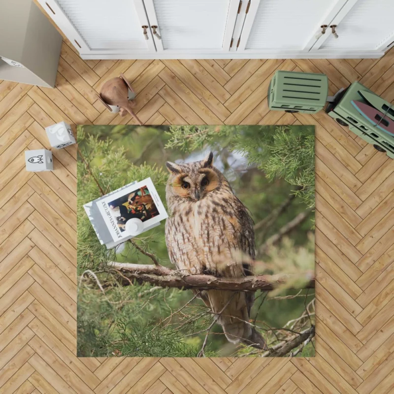 Eagle-Owl Nocturnal Majesty Wise Gaze Rug