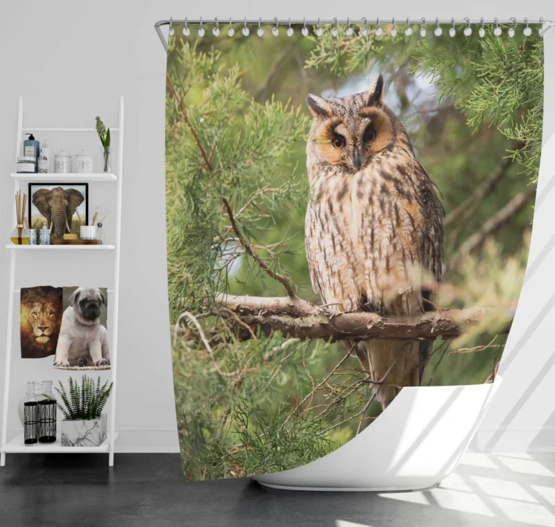 Eagle-Owl Nocturnal Majesty Wise Gaze Shower Curtain