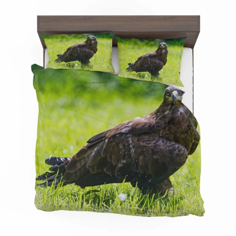 Eagle Soaring Majesty Wilderness Stance Bedding Set 1