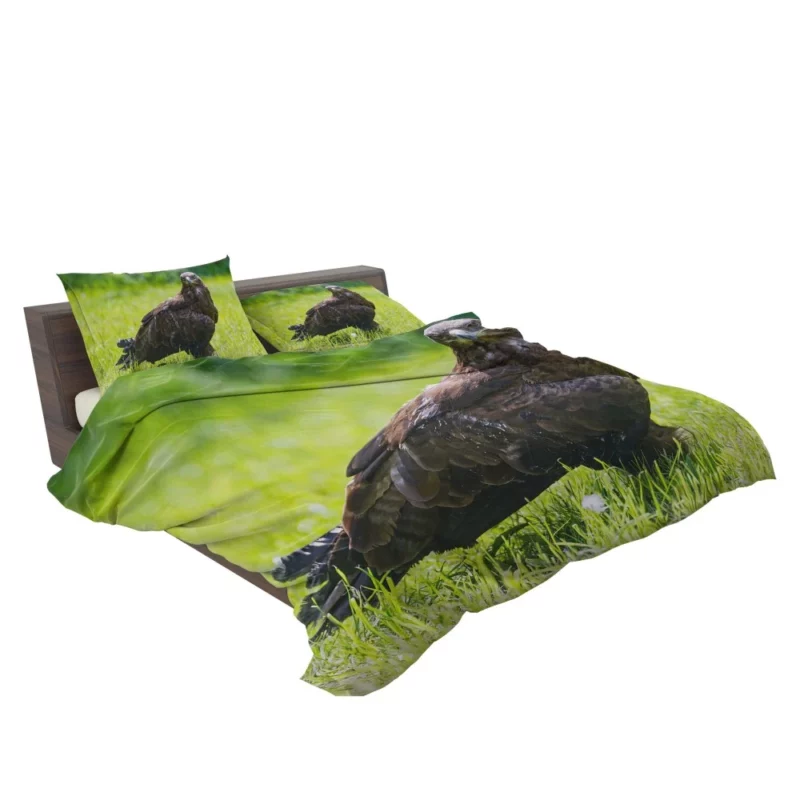 Eagle Soaring Majesty Wilderness Stance Bedding Set 2