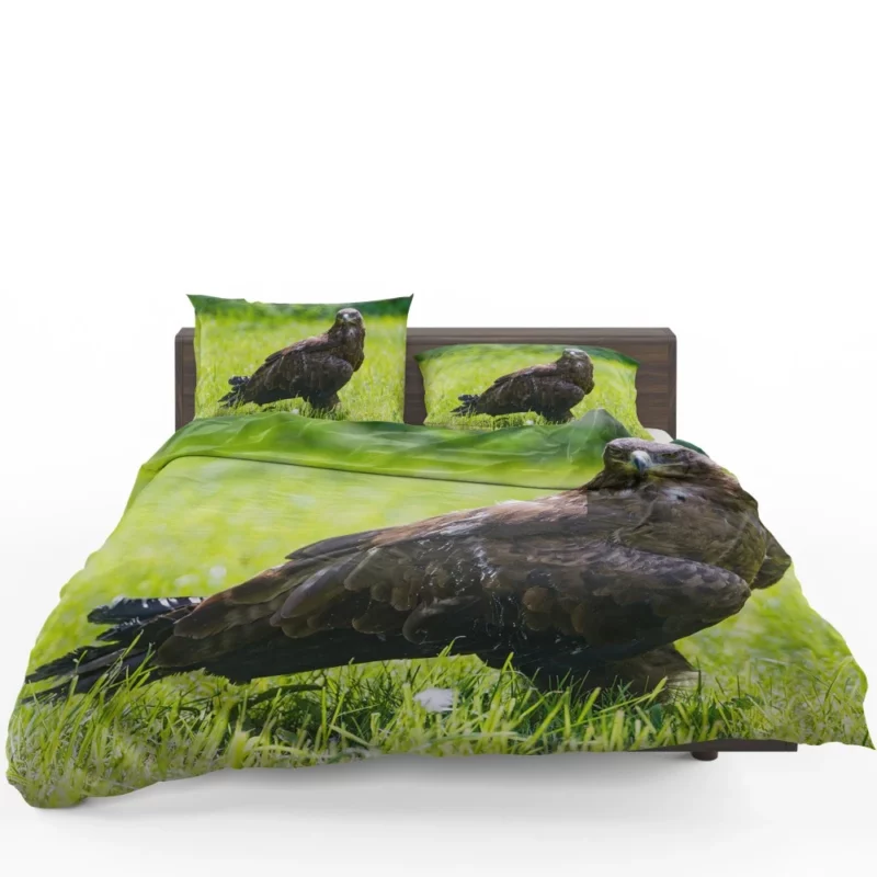 Eagle Soaring Majesty Wilderness Stance Bedding Set