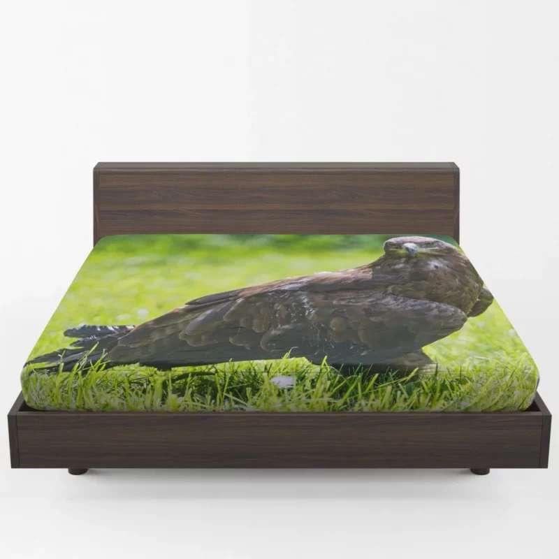 Eagle Soaring Majesty Wilderness Stance Fitted Sheet