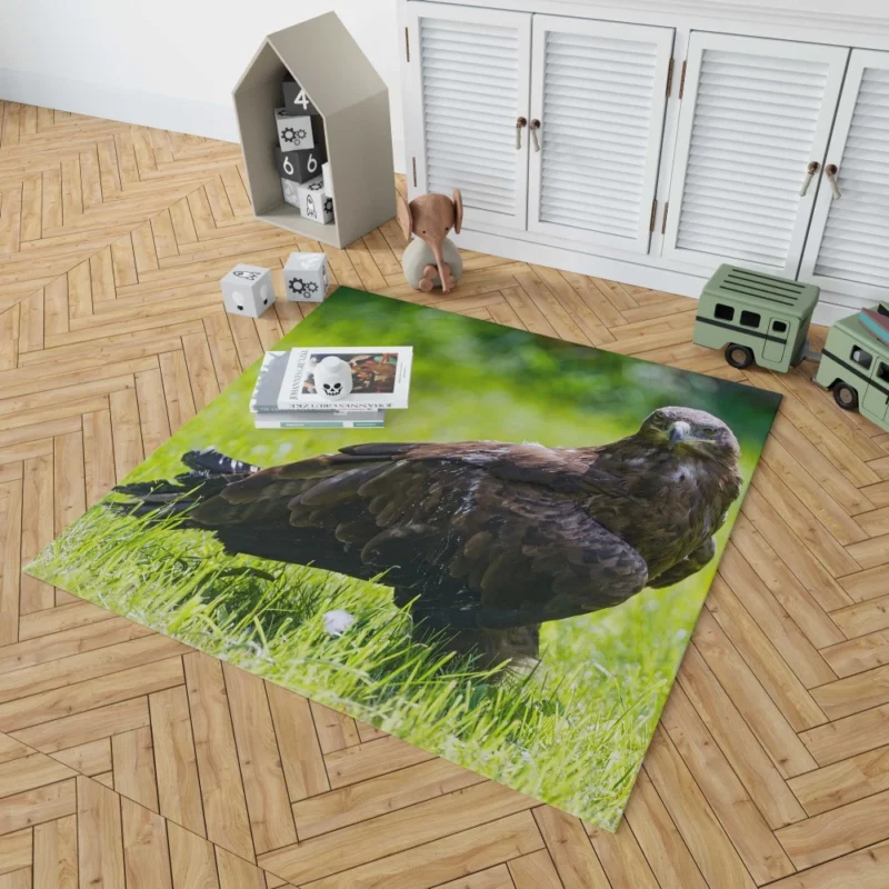 Eagle Soaring Majesty Wilderness Stance Rug 1