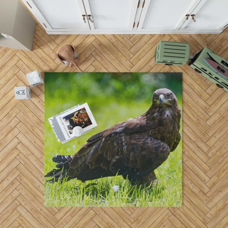 Eagle Soaring Majesty Wilderness Stance Rug