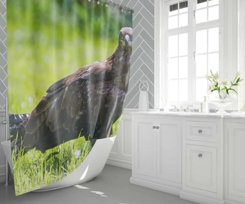 Eagle Soaring Majesty Wilderness Stance Shower Curtain 1