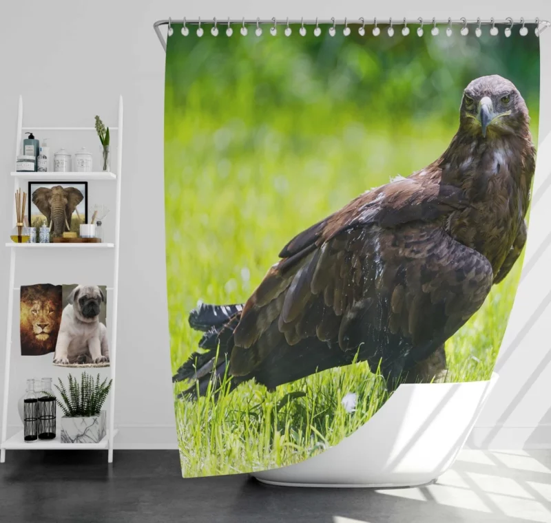 Eagle Soaring Majesty Wilderness Stance Shower Curtain