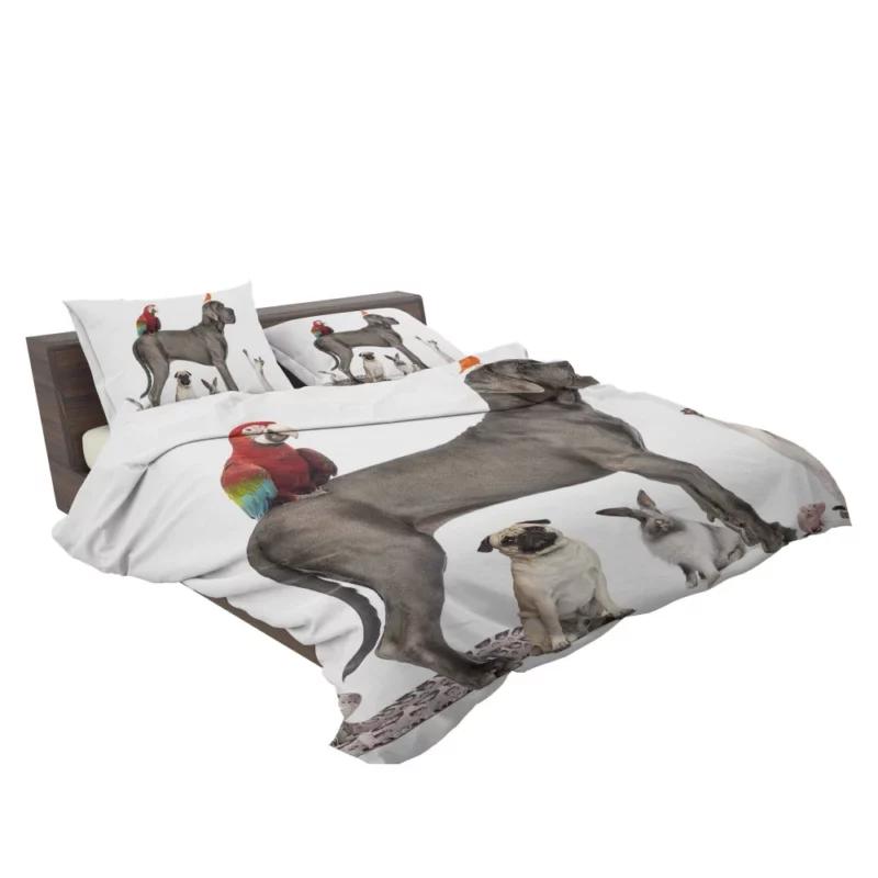 Eclectic Pets Collection Furry Family Bedding Set 2