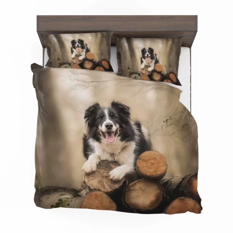 Elegance Border Collie Dog Bedding Set 1