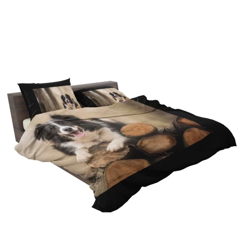 Elegance Border Collie Dog Bedding Set 2