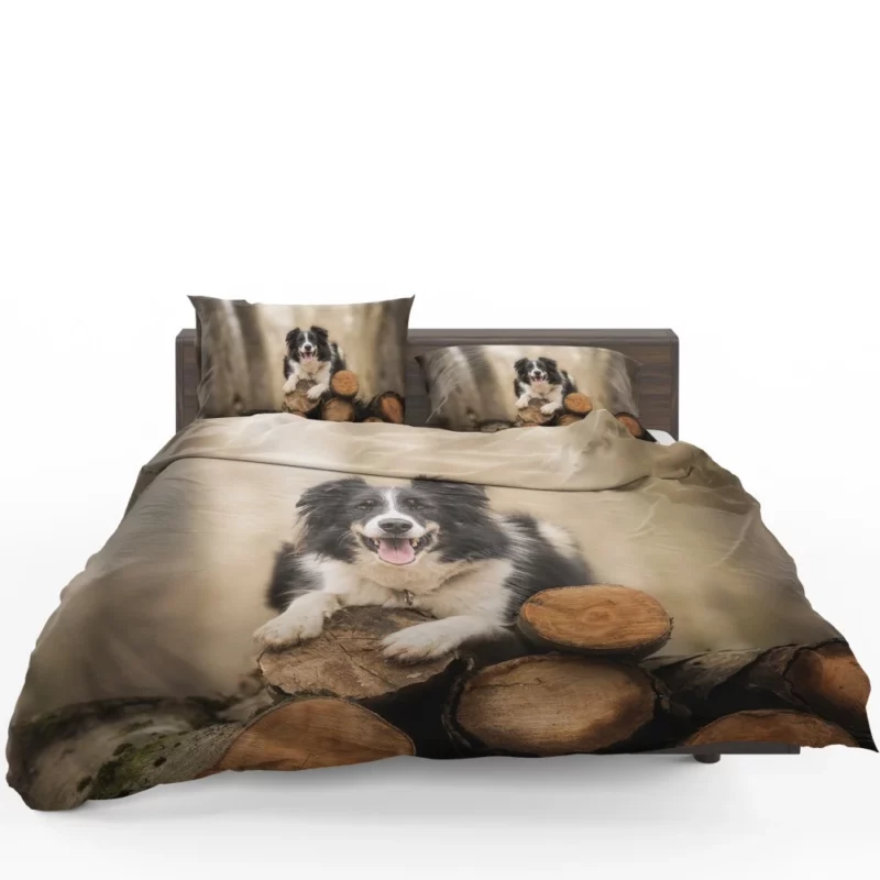 Elegance Border Collie Dog Bedding Set