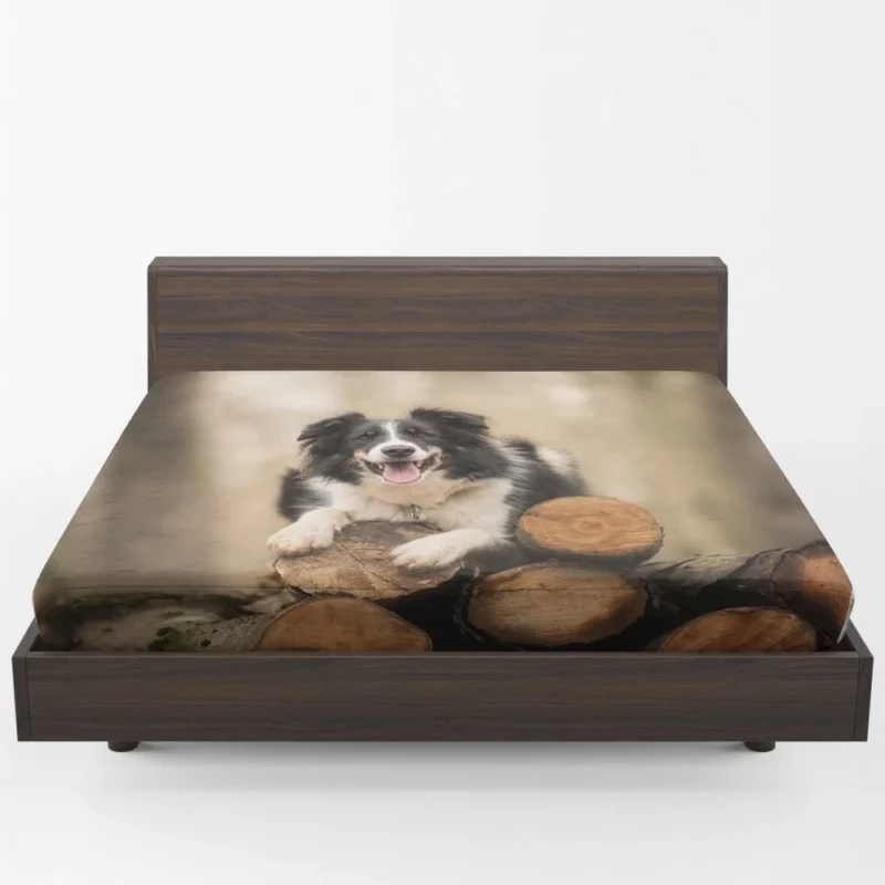 Elegance Border Collie Dog Fitted Sheet