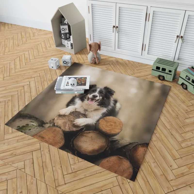 Elegance Border Collie Dog Rug 1