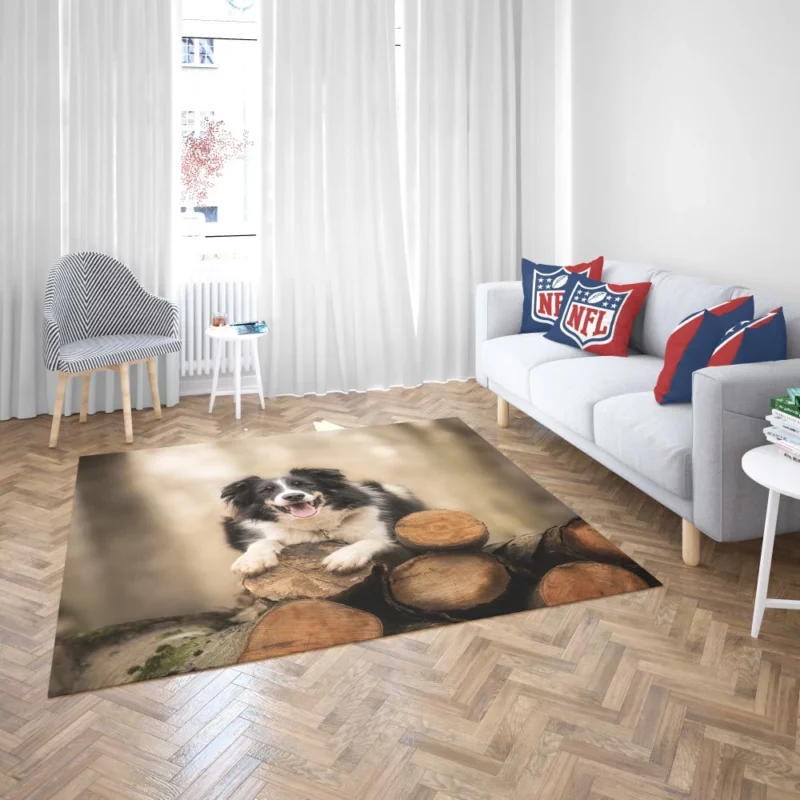 Elegance Border Collie Dog Rug 2