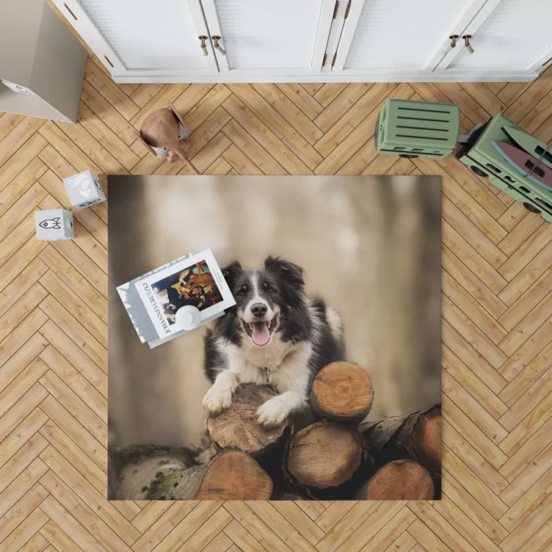 Elegance Border Collie Dog Rug