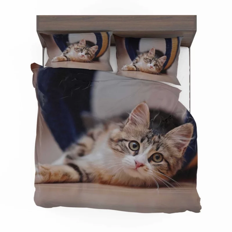 Elegance Close-Up Cat Beauty Bedding Set 1