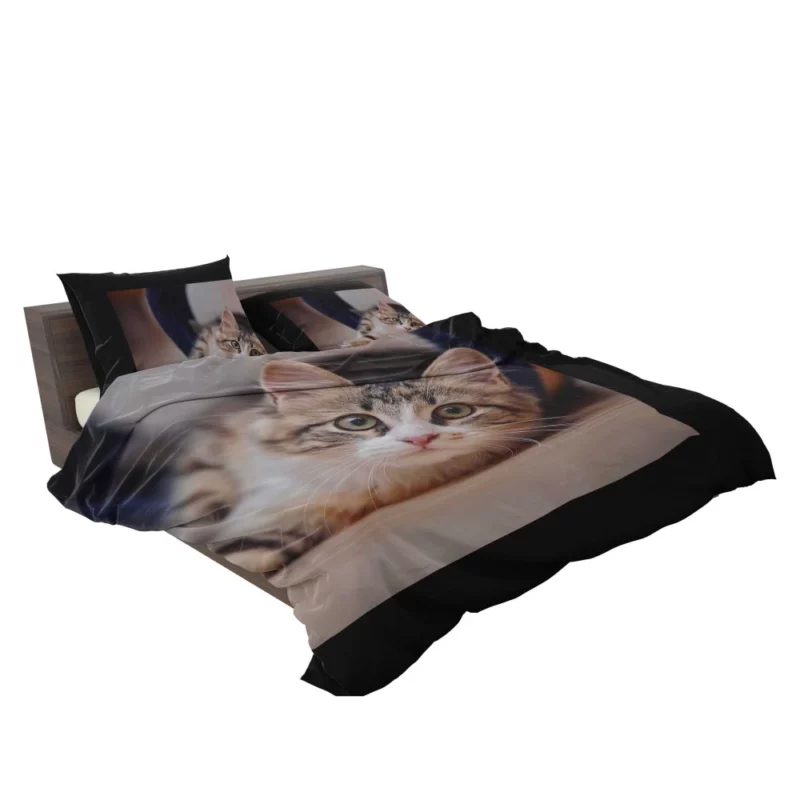 Elegance Close-Up Cat Beauty Bedding Set 2