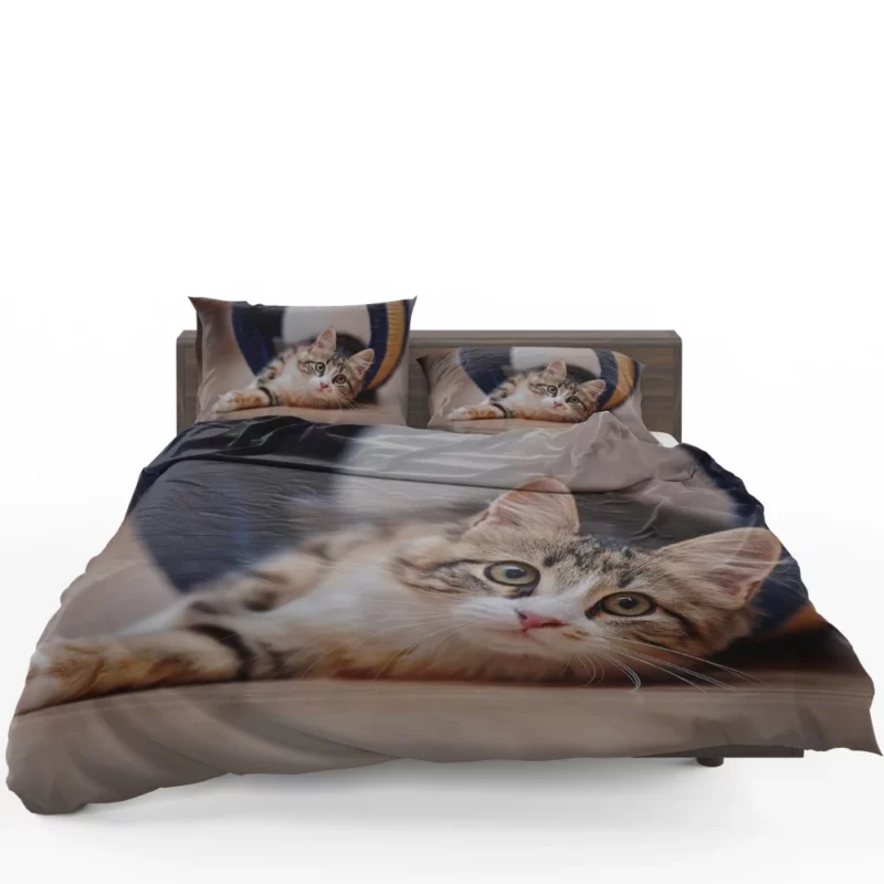 Elegance Close-Up Cat Beauty Bedding Set