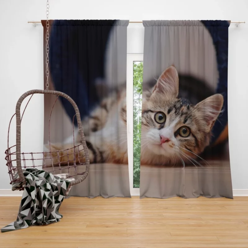 Elegance Close-Up Cat Beauty Curtain