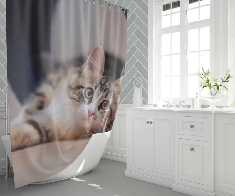 Elegance Close-Up Cat Beauty Shower Curtain 1