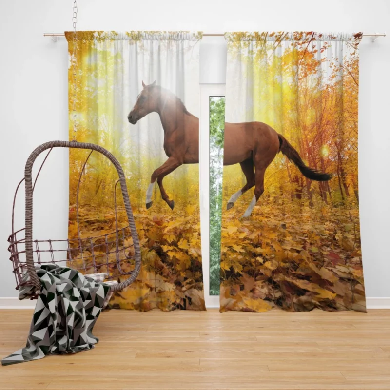 Elegance in Equine Majestic Horse Grace Curtain