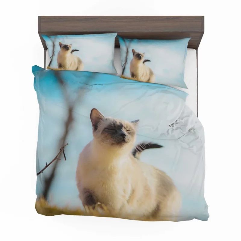 Elegance in Fur Serene Siamese Cat Bedding Set 1