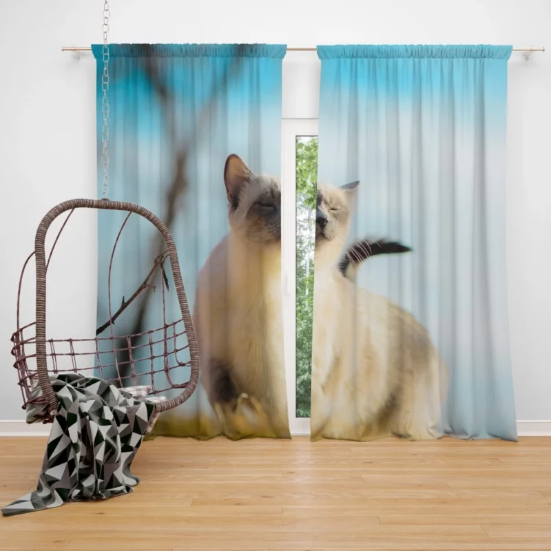 Elegance in Fur Serene Siamese Cat Curtain